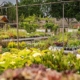 Tuincentrum van de Hulsbeek helpt je met advies en tips voor een succesvol tuinontwerp!